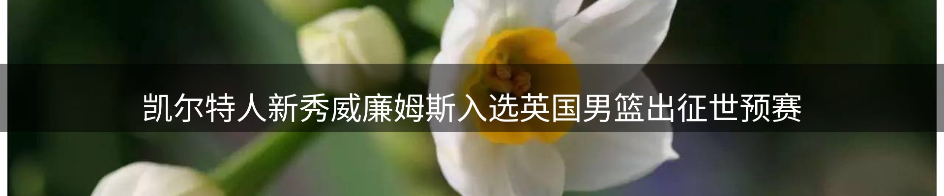 新闻趋势