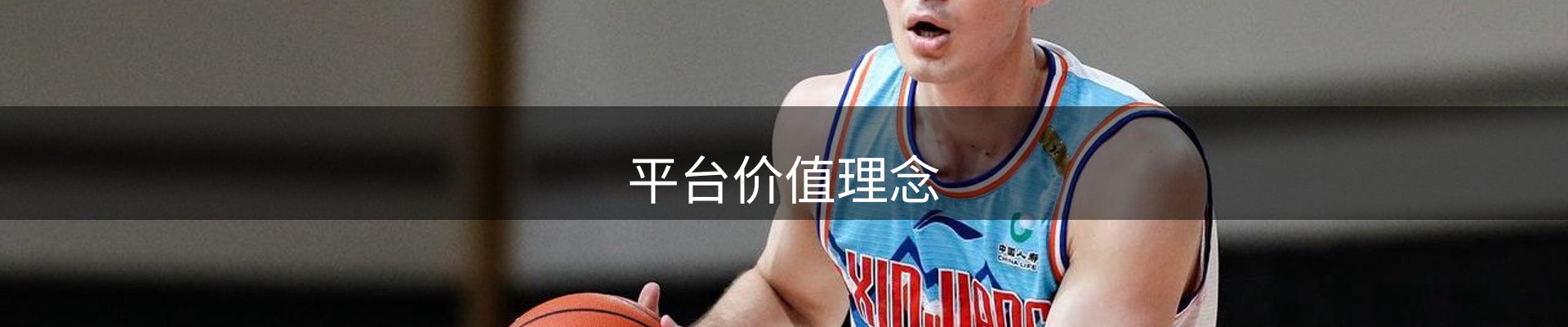 平台价值理念