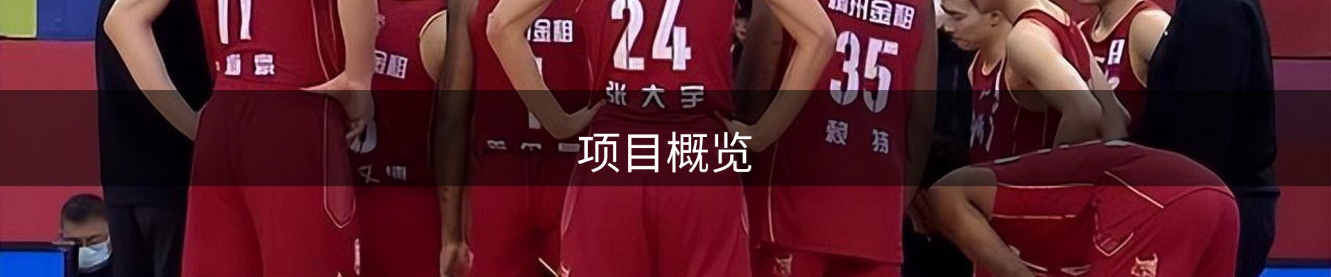 项目概览